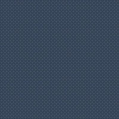 Ritagli d'Arte-Tessuti- Collezione Prairie Dry Goods II - Pam Buda R171657D-NA.jpg